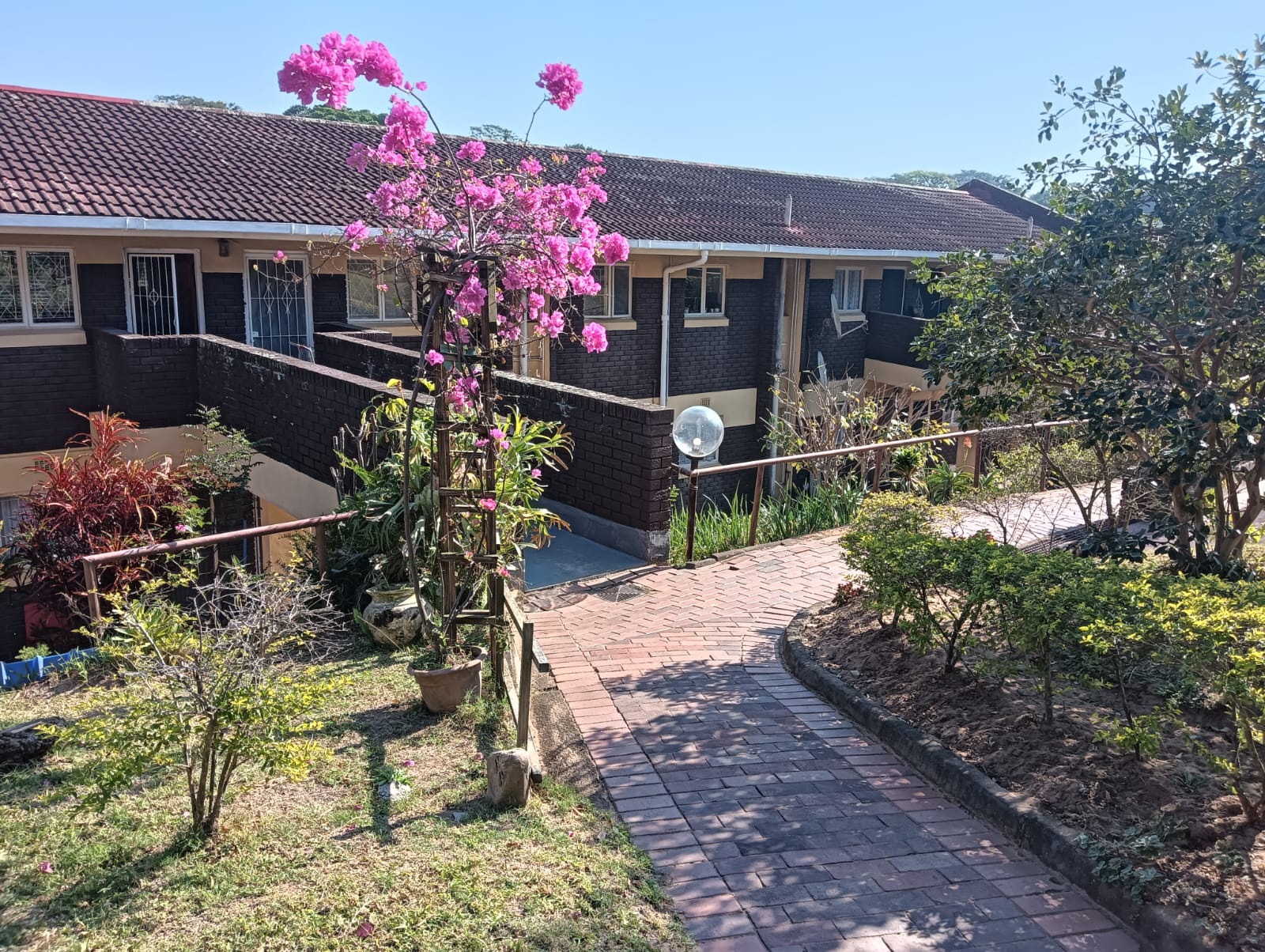 WhatsApp Image 2025-07-03 at 13.10.19_0d93f579